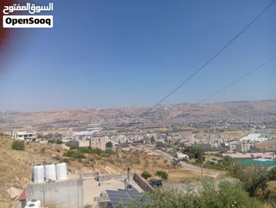 قطعة ارض في ام الدنانير سكن ب 2