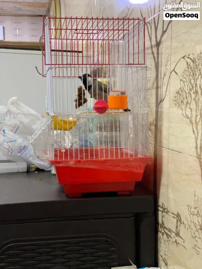 undefined 4