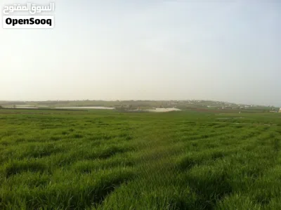 أرض للبيع في عمّان الجنوبية طريق المطار بالقرب من كينغز أكاديمي 4
