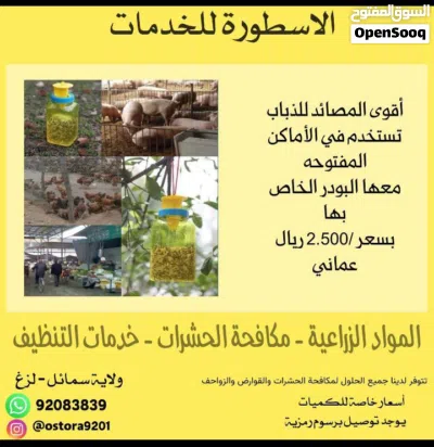 الذباب - الحشرات - البعوض - الصراصير 3