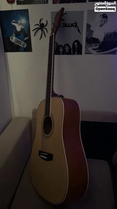 SX Professional Acoustic Guitar for Sale 3