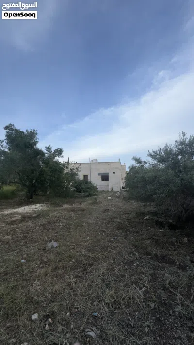 بيت للبيع . 3