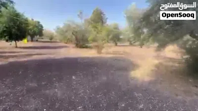 قطعة أرض للبيع من أراضي كفراسد بمنطقة استراحات باتجاه نزول الشونة رقم الحوض 19 ورقم القطعة 64 2