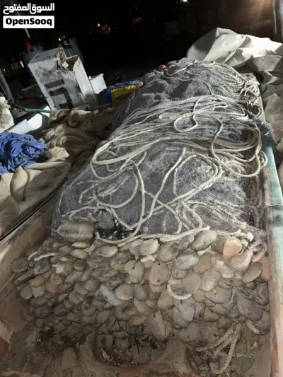 قارب وضغوة للبيع للجادين 3