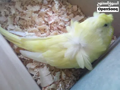 undefined 3