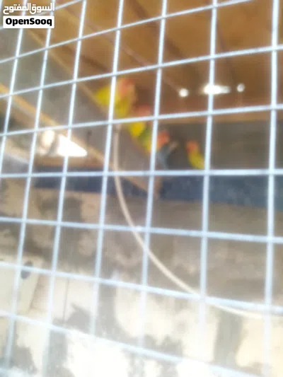 undefined 2