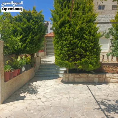 undefined 3