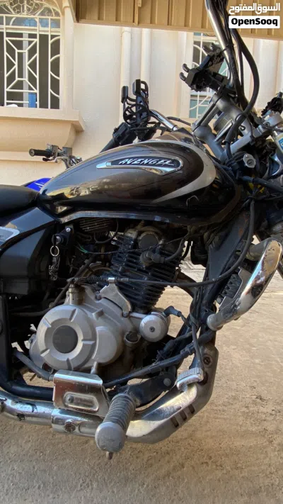 Bajaj Avenger 3