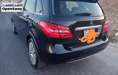 Mercedes Benz B-Class B 250 2