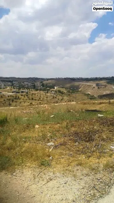 قطعتين أرض للبيع اربد إبان 2