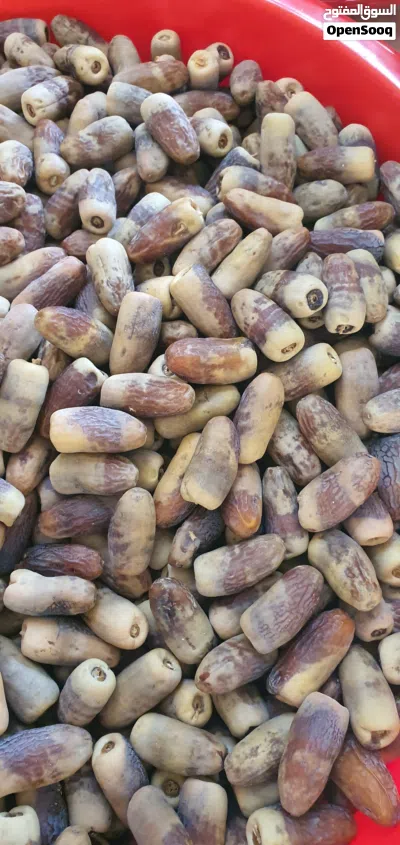 تمر نغال جريجرو 3