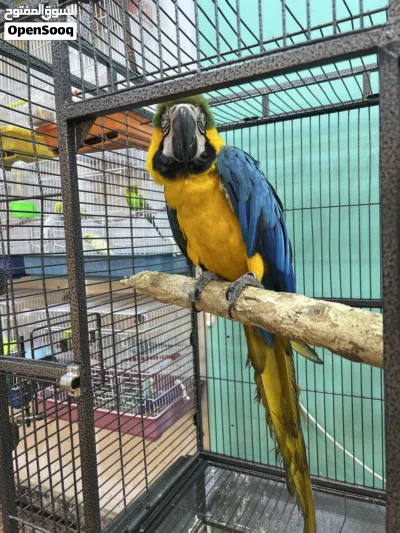 undefined 3