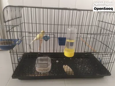 undefined 3