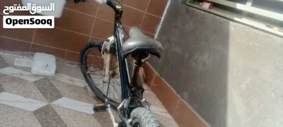 undefined 3
