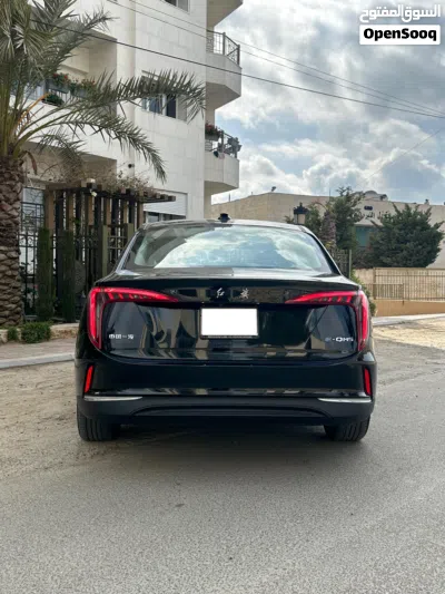 هونج تشي E-QM5 Standard 4