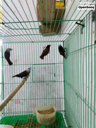 undefined 3