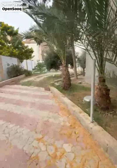 عمارة للبيع تلات طوابق 2