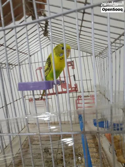 undefined 2