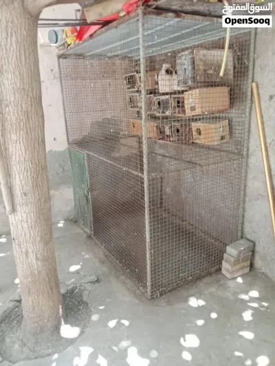 للبيع قصف مع الصناديق وا الببيع صناديق 2