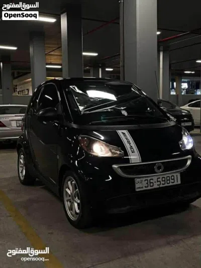 Smart Other 2