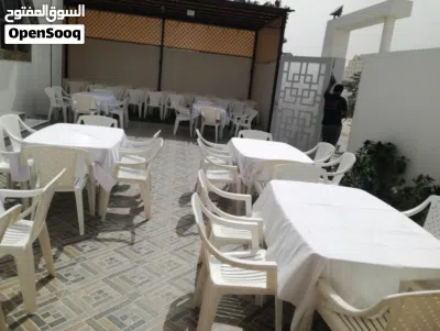 تأجير الطاولات والكراسي Tables and chairs rental 3
