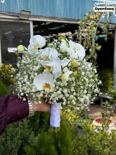 مسكات العروس 2