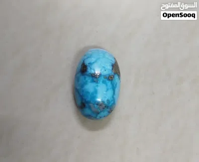 Nishapuri Shajri Feroza 15K in size irani 4