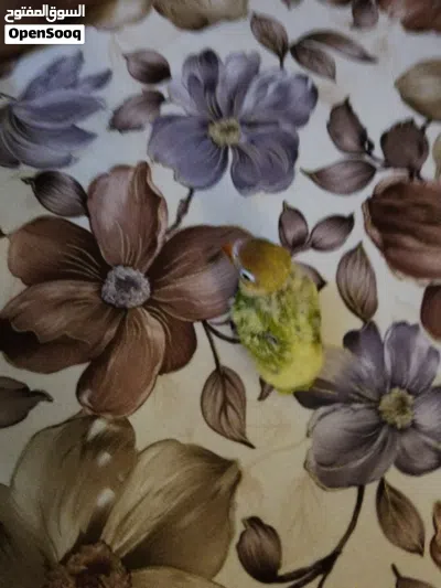 undefined 2