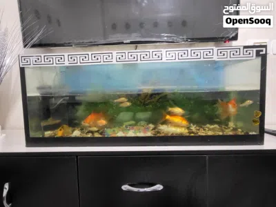 undefined 2