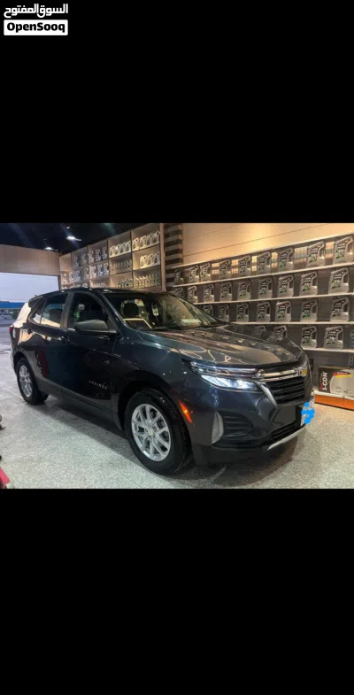Chevrolet Equinox LS 3