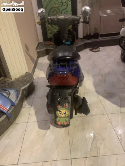 Tiger Saviny 4