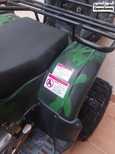Tiger Saviny 4
