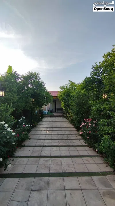 عمل حديقه المزل بطرق هندسيه ومكافحه المنازل من الحشرات 2