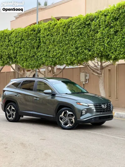 Hyundai Tucson Limited 2