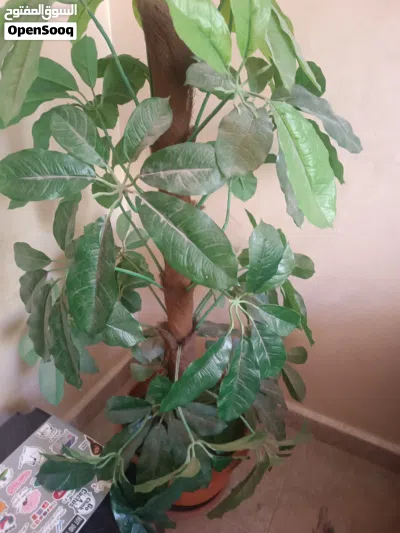 undefined 2