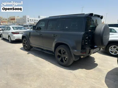 Land Rover Defender 110 Carpathian Edition 3