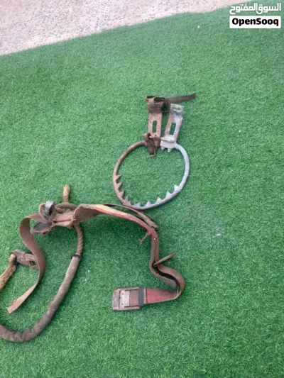 صطفات ربي يبارك بتع الشركه 4