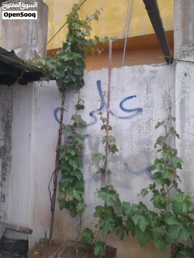 undefined 3