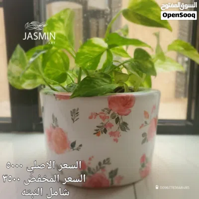 اصيص زراعي للنبات الطبيعي 3