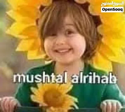 تنسيق وتصميم الحدائق 3