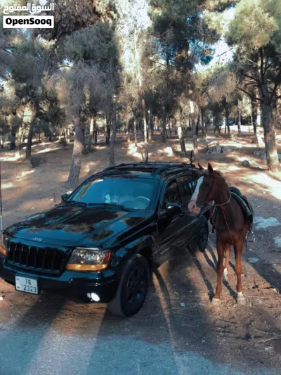 جيب جراند شيروكى Laredo 4