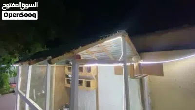 أقفاص للبيع اقرأ الوصف 4