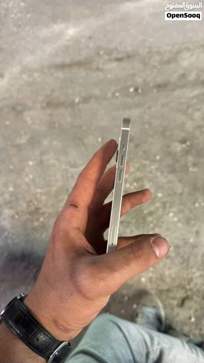 ايفون 13 عادي 4