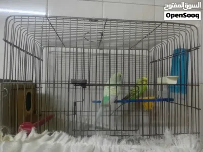 undefined 4