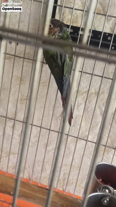 undefined 2