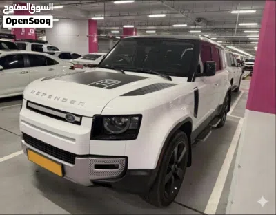 Land Rover Defender 110 2