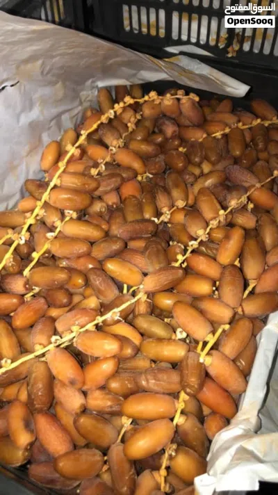 تمر دقلة ودان نص لمعة للبيع مستعجل اقرا الوصف 2