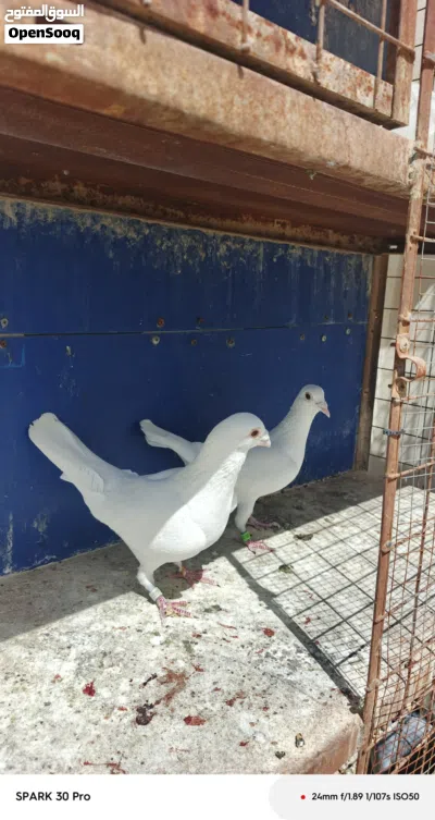 undefined 3
