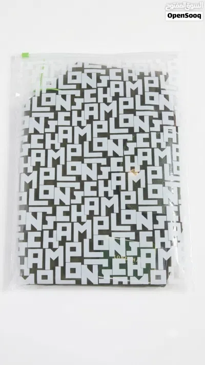 long champ bag 2