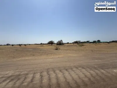 السويق خضراء السعد 2